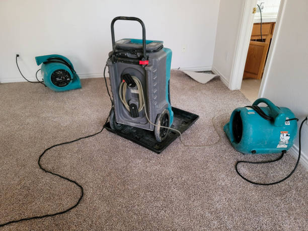 Best Commercial water damage restoration  in Colorado City, TX