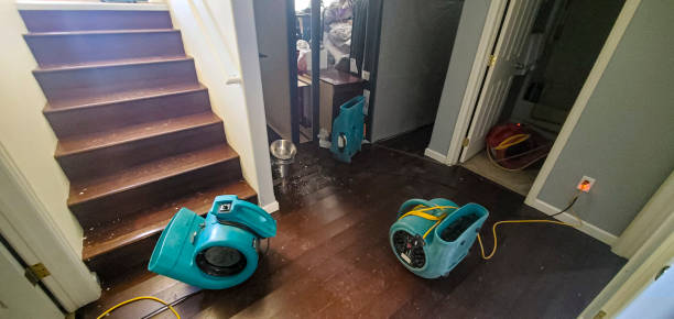 Best Residential water damage restoration  in Colorado City, TX