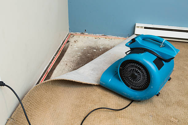 Best Basement water damage restoration  in Colorado City, TX